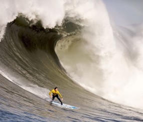 关于米兰体育app官网入口的平台发展趋势详解