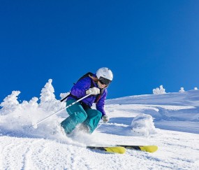 新手入门指南：米兰体育平台登录入口